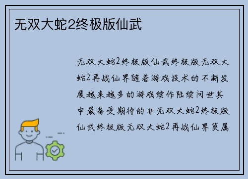 无双大蛇2终极版仙武